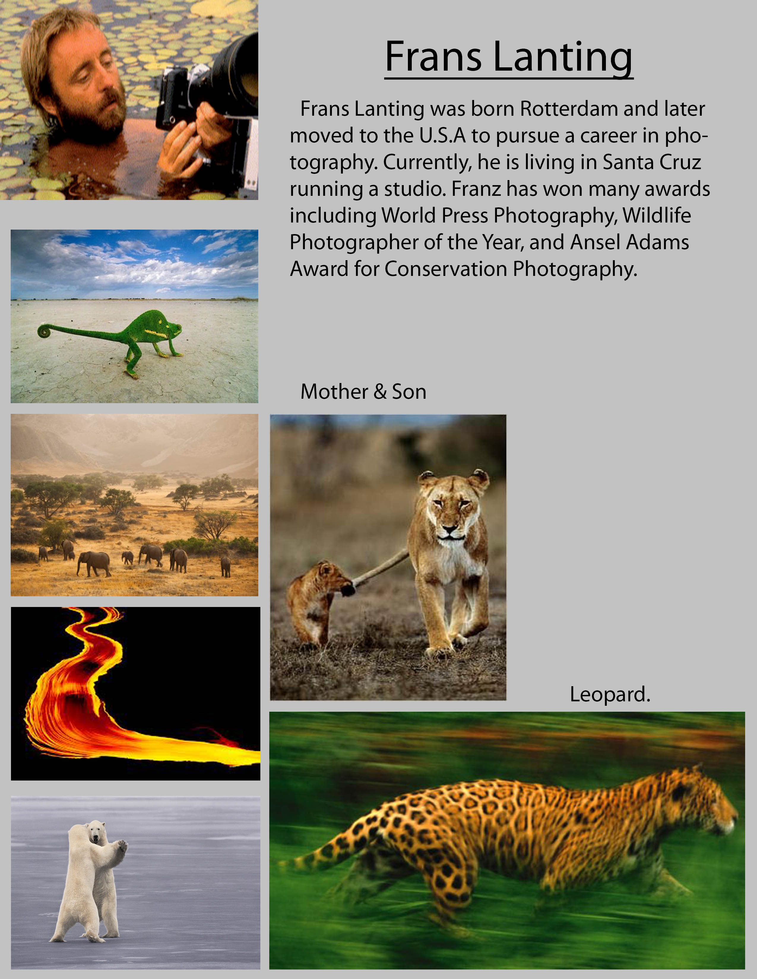 Color Film Photographer. 